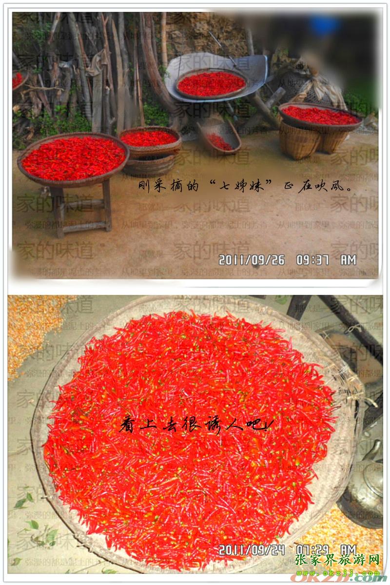 張家界-洞溪七姊妹