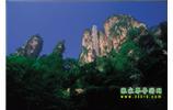 網(wǎng)絡(luò)熱門(mén)純玩游：張家界、天子山、袁家界、楊家界 自助三日游