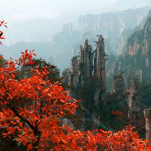 休閑自駕E線：張家界、袁家界、天子山、寶峰湖、鳳凰古城、沱江泛舟四晚五日游