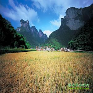 張家界往返純玩散拼：矮寨大橋、德夯苗寨、鳳凰古城、芙蓉鎮(zhèn)二日游